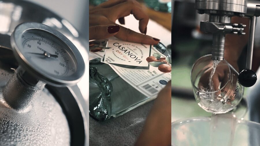 Alcobaça: Visit to the Lemos Figueiredo Winery and Distillery - Key points at a glance