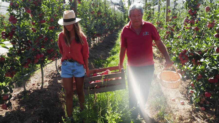 Alcobaça: Visit to the Lemos Figueiredo Winery and Distillery - Bottling, labeling, and the take-home miniature