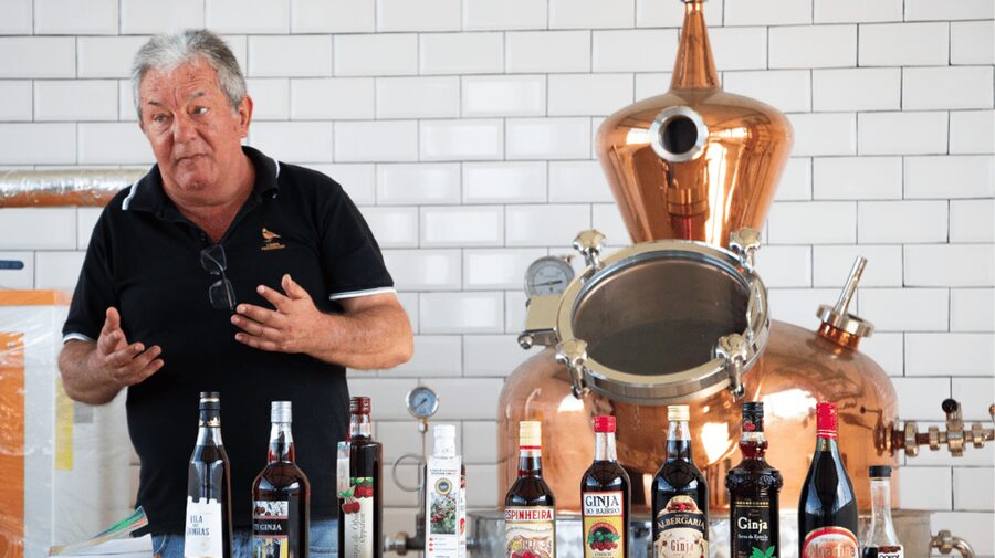 Alcobaça: Visit to the Lemos Figueiredo Winery and Distillery - The tasting: ginja, gin, tonic, and small bites