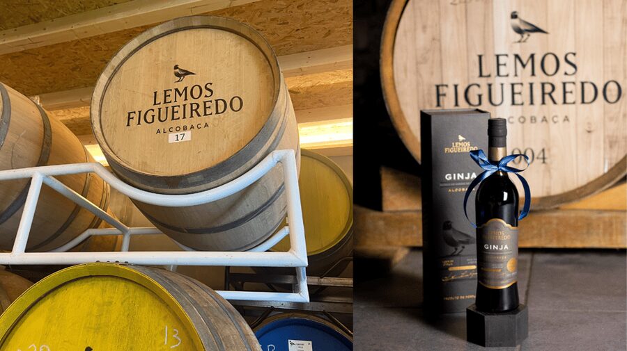 Alcobaça: Visit to the Lemos Figueiredo Winery and Distillery - From preparation to distillation