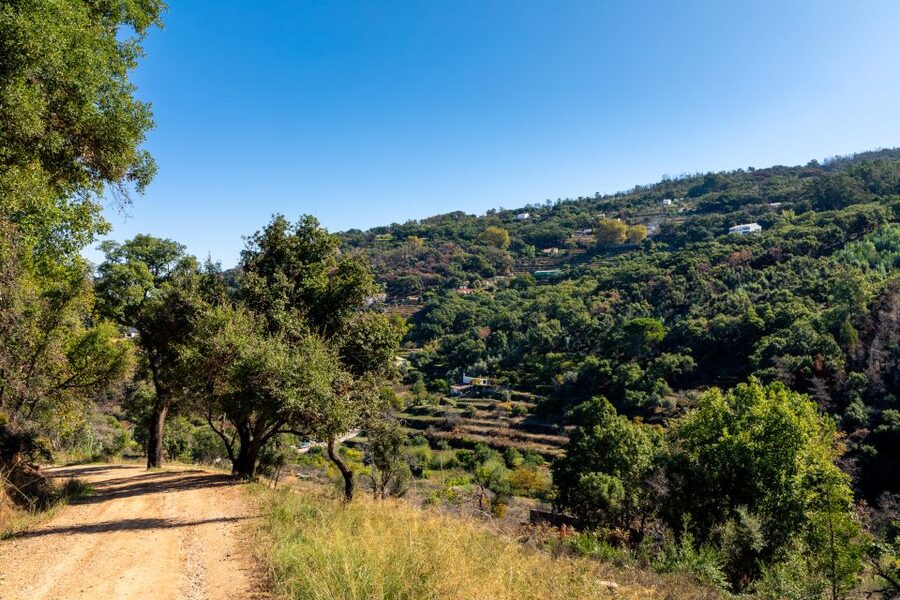 Algarve: Jeep Safari with Distillery Visit & Lunch - Price, duration, and practical value
