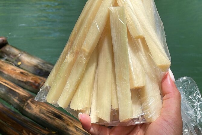 Bamboo Rafting at Martha Brae River & Lunch At Scotcheis - What the river ride is really like