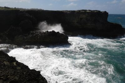 Barbados Sightseeing Plantation distillery tour, Lunch & Drink