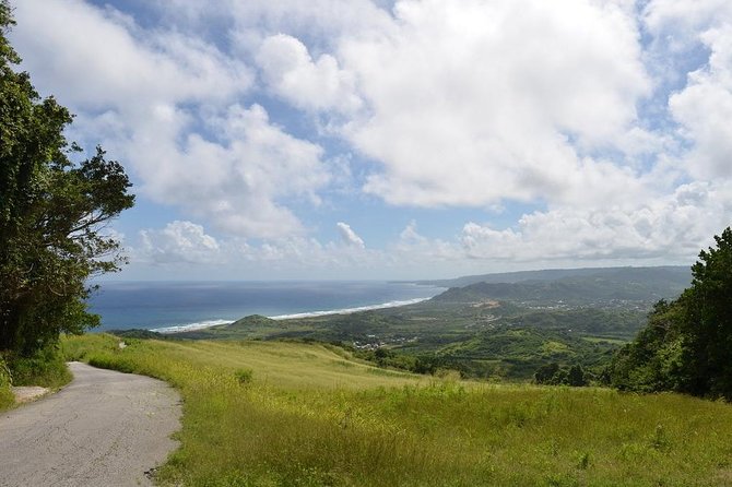 Barbados Sightseeing Plantation distillery tour, Lunch & Drink - Lunch, drinks, and the practical rhythm of the day