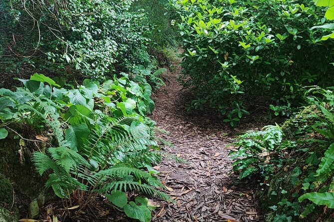 Blarney Castle Cork City and Jameson Distillery Small groups - Guides, drivers, and group rhythm