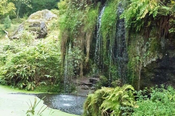 Blarney Castle Cork City and Jameson Distillery Small groups - Who should book this tour?