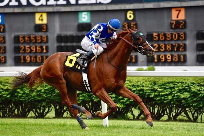 Bourbon & Derby: Makers Mark OR Buffalo trace + Churchill Down - Who will enjoy this day most?