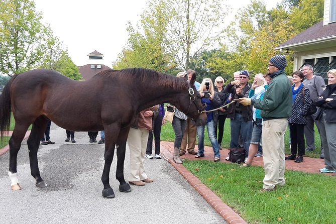 Bourbon Distillery & Horse Farm Tours - Who should book this tour?