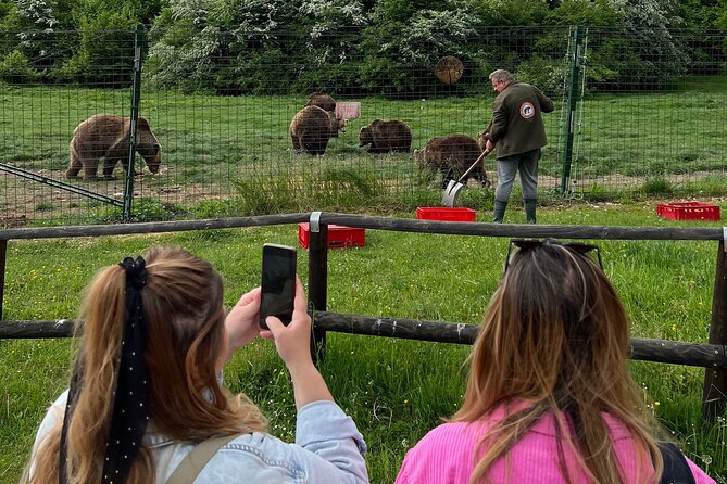 Bran (Dracula) Castle, Bear Sanctuary, Rasnov Fortress & Palinca Distillery - Libearty Bear Sanctuary: the most meaningful stop