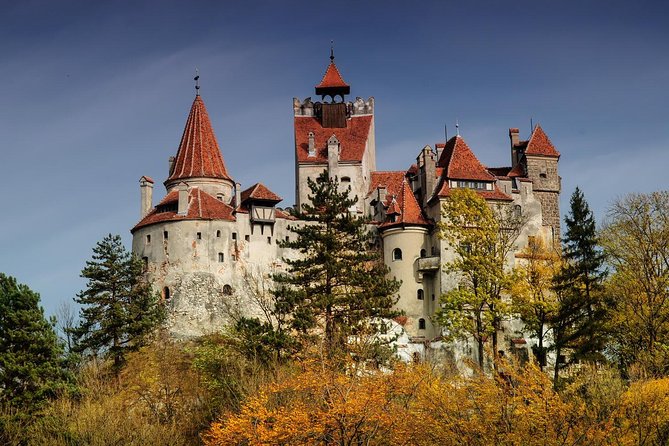 Bran (Dracula) Castle, Bear Sanctuary, Rasnov Fortress & Palinca Distillery - Rasnov Fortress and the view above the town