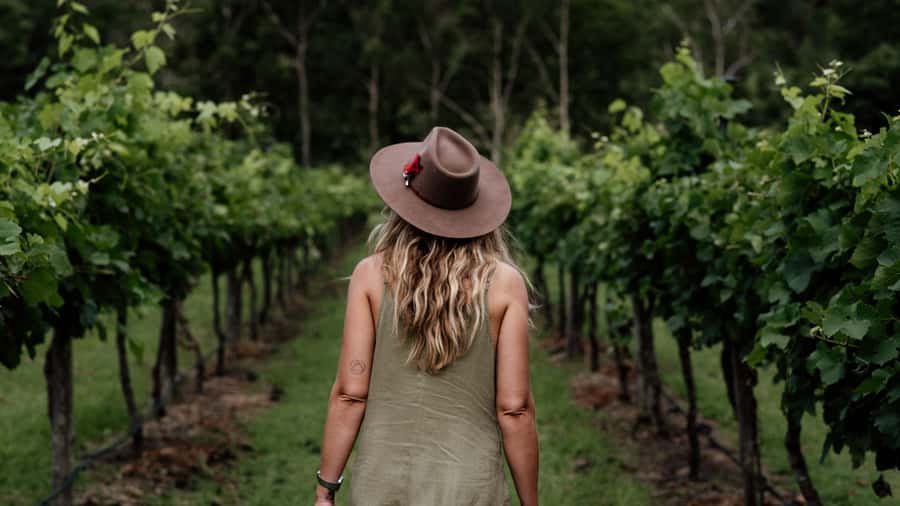 Brisbane: Boutique Winery Tour with Gourmet Lunch - Why this hinterland day works