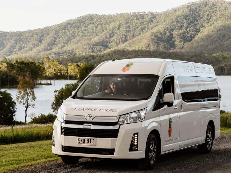 Brisbane: Boutique Winery Tour with Gourmet Lunch - Cedar Creek Estate Winery and the included lunch