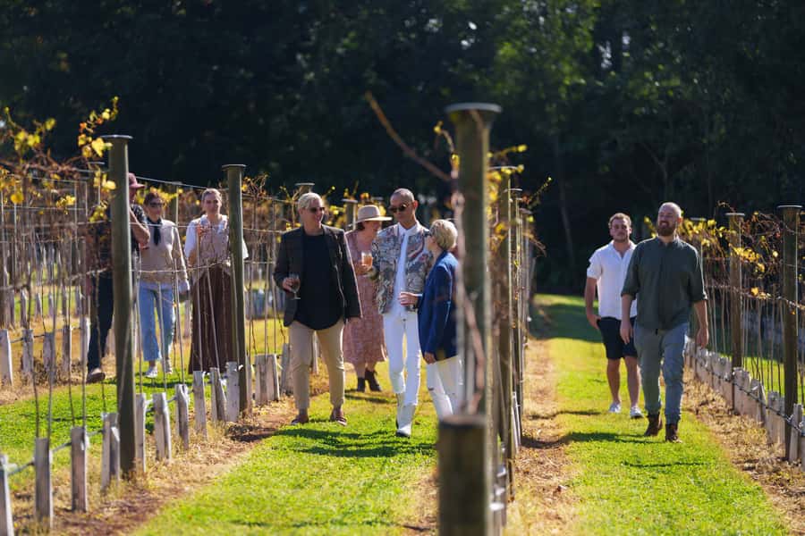Brisbane: Tamborine Wine & Distillery Tour - A scenic lookout with room to breathe