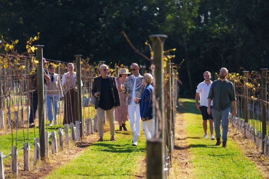 Brisbane: Tamborine Wine & Distillery Tour - Useful planning advice before you go