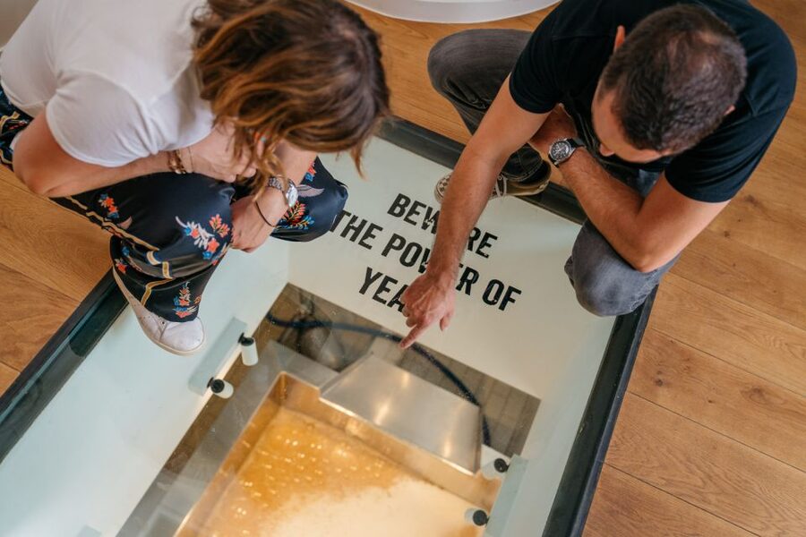 Bruges: Bourgogne des Flandres Brewery and Distillery Visit - A brewery visit in the heart of Bruges
