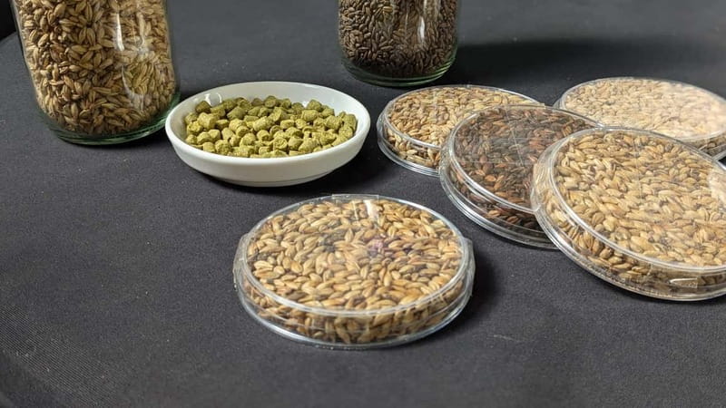 Brussels: micro brewery & distillery tour + beer tasting - Two craft beers, two different styles
