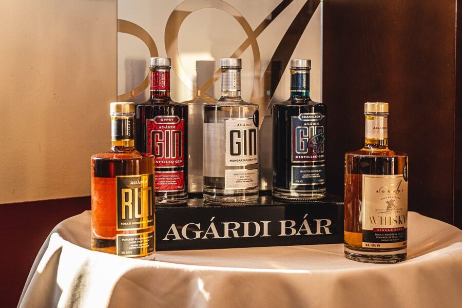 Budapest: Hungarian Whisky, Gin, and Pálinka Tasting - Inside one of Hungary’s oldest distilleries
