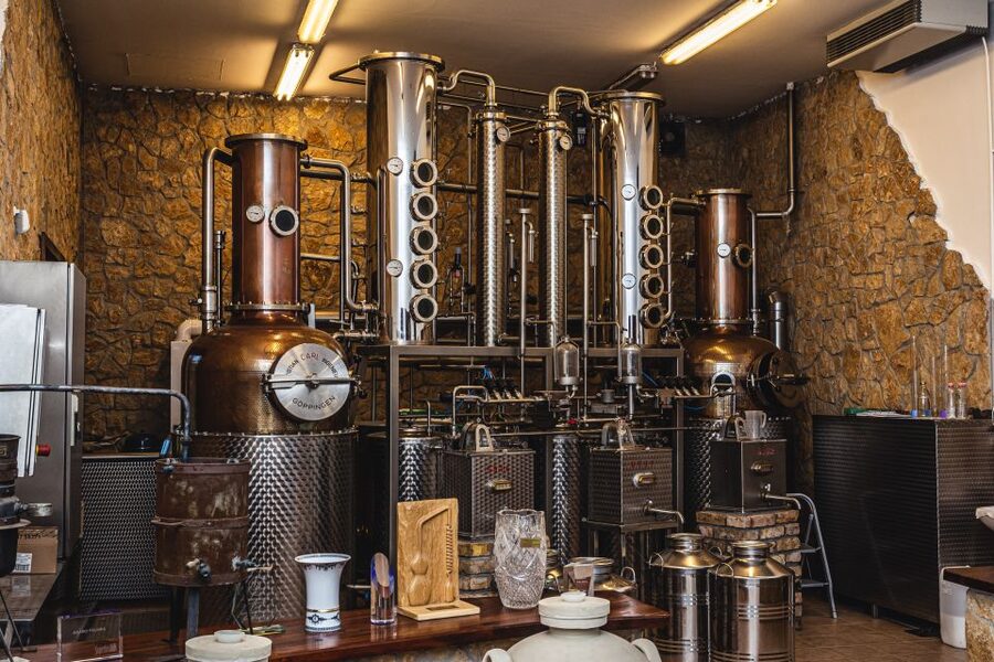 Budapest: Hungarian Whisky, Gin, and Pálinka Tasting - Six pálinkas, then gin and whisky