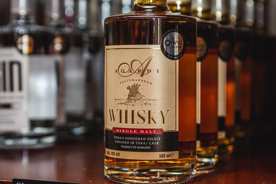 Budapest: Hungarian Whisky, Gin, and Pálinka Tasting - Who will get the most from this outing?
