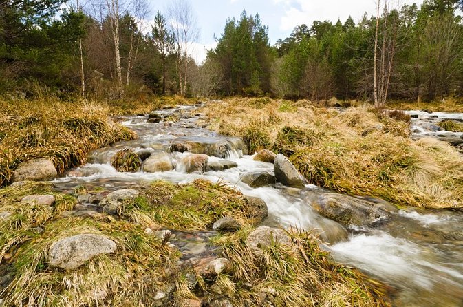 Cairngorms & Whisky Day Tour from Inverness Including Admission - Why this Inverness day trip works