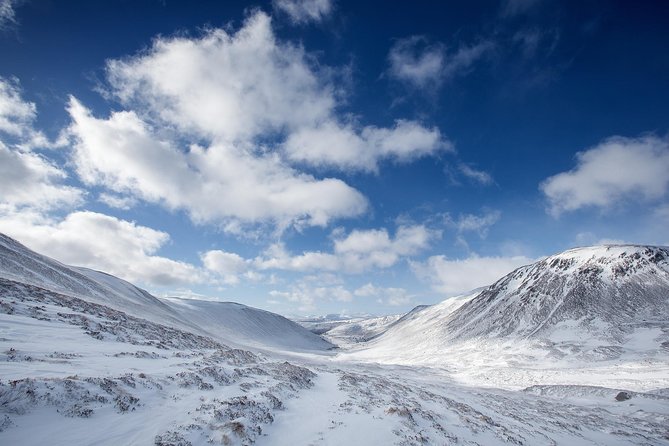 Cairngorms & Whisky Day Tour from Inverness Including Admission - Comfort, luggage, and who should book