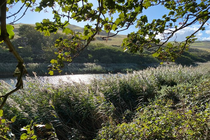 Castles, Coastline and Whisky Tasting Tour with Admission - Ending with a private whisky tasting