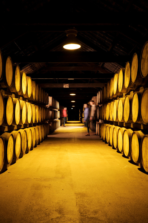 Cork: Midleton Distillery Behind the Scenes Tour & Tasting - Timing, Weather, and Practical Details