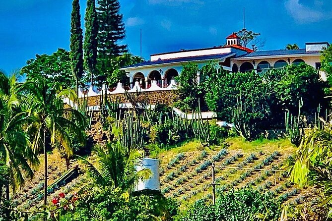 Cultural tour, city fields and distillery - Temple of Saint James the Apostle and the Main Square