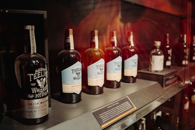 Dublin in a Day: Dublin Castle, Book of Kells, Guinness & Whiskey - Teeling Whiskey Distillery for production and tasting