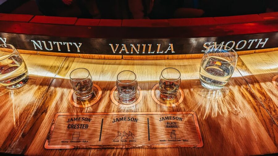 Dublin: Jameson Whiskey Distillery Tour with Tastings - Who will enjoy this most?