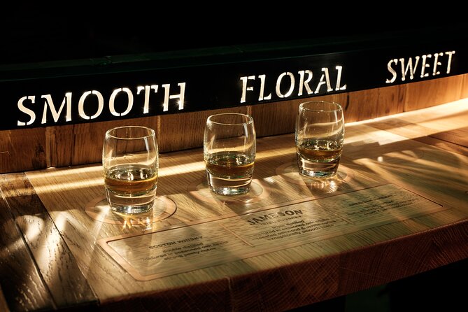 Dublin Private Guinness and Jameson Whiskey Tour with Transfers - Who gets the best value from this experience