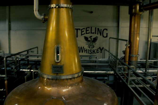 Dublin Private Whiskey Tour with Three Unique Distillery Visits - Teeling: a final tasting built around Irish whiskey styles
