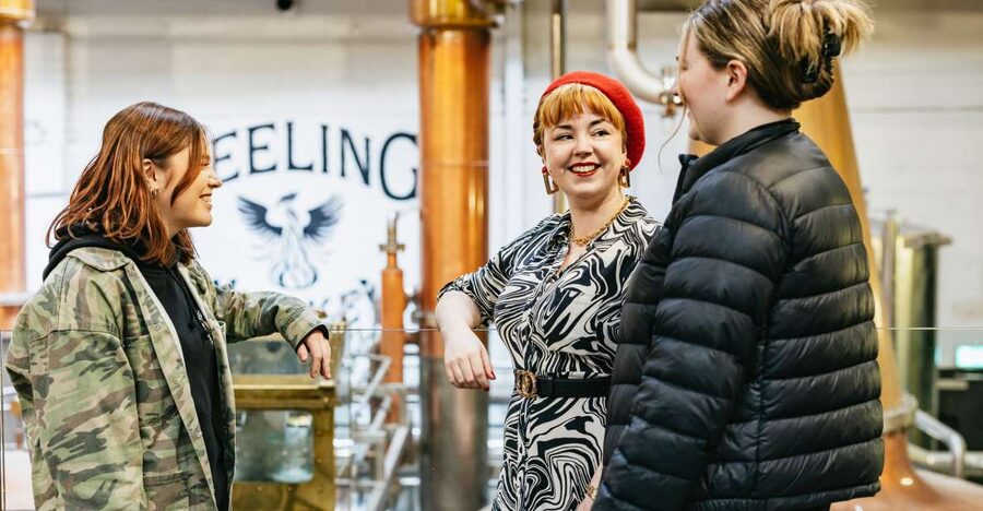 Dublin: Teeling Whiskey Distillery Tour & Tasting - Entering a fully operational three-still distillery