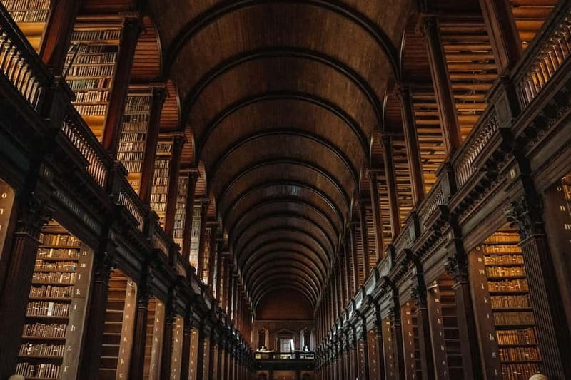 Dublin: Trinity College, Castle, Guinness and Whiskey Tour - What $169 gets you
