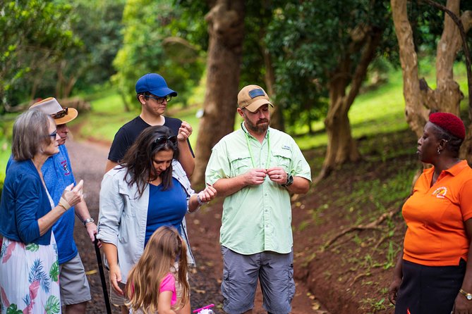 Eastern Tours/ Mt. Carmel Falls / Laura Spice Tour / Clarke's Court Distillery - Clarke’s Court and Grenada’s molasses-based rum