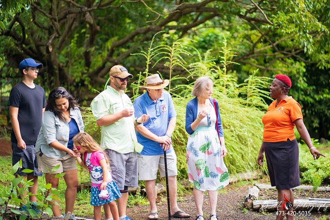 Eastern Tours/ Mt. Carmel Falls / Laura Spice Tour / Clarke's Court Distillery - How the timing fits a cruise ship day