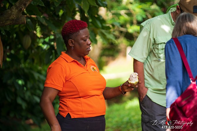 Eastern Tours/ Mt. Carmel Falls / Laura Spice Tour / Clarke's Court Distillery - Who should book this Grenada experience?