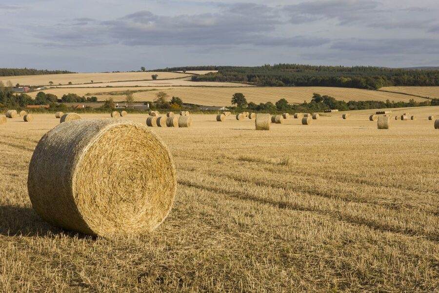 Edinburgh: Rosslyn Chapel, Borders & Glenkinchie Distillery - The Scottish Borders on the road south