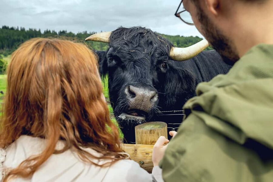 Edinburgh to Scottish Highlands: Whisky, Views & Hairy Coos - The Kelpies and Stirling, seen on the way