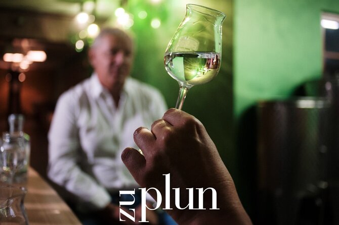 Exclusive distillery tour in the Dolomites To Plun Distillery - Key points at a glance