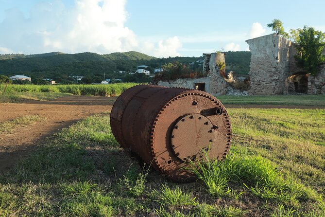 Farm to Bottle Tour at Prosperity Farm Distillery - From sugarcane field to bottle