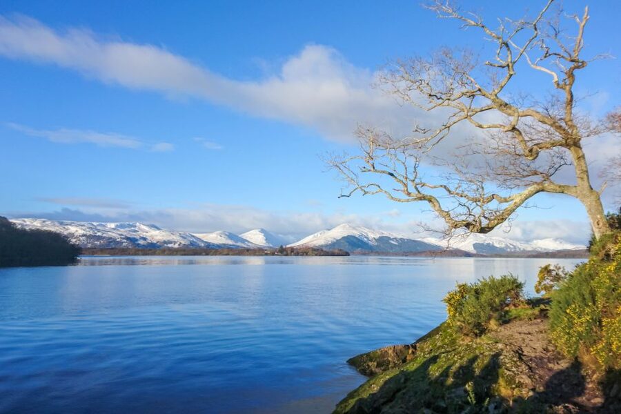 From Edinburgh: Stirling Castle, Loch Lomond & Whisky Tour - The guide can make or break the day
