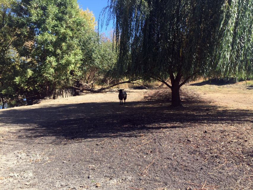 From Portland: Willamette Valley Wine & Whisky - Leaving Portland for Oregon Wine Country