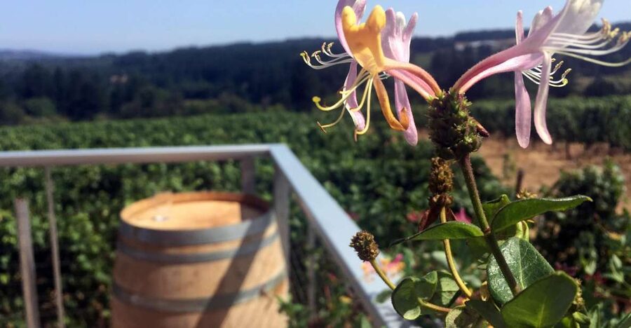 From Portland: Willamette Valley Wine & Whisky - The Distillery Adds a Welcome Change of Pace
