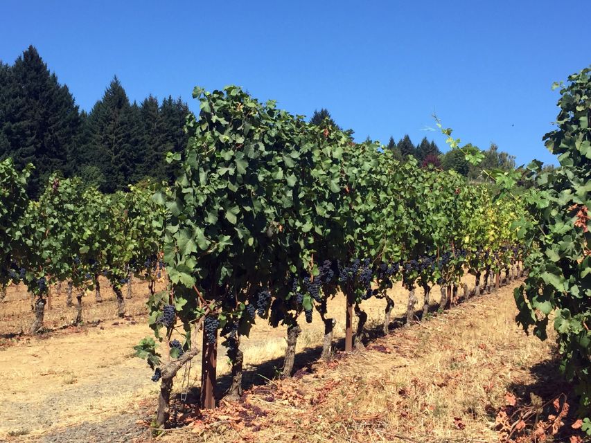 From Portland: Willamette Valley Wine & Whisky - The Bottom Line: A Good Introduction With Extra Costs