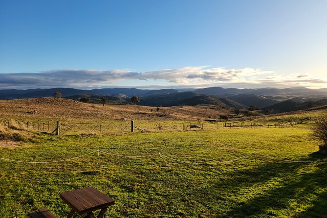 Full-Day Canberra Brewery, Wineries & Distillery tour /w lunch - Four Winds Vineyard, pizza lunch, and a useful mid-day pause