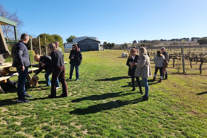Full-Day Canberra Brewery, Wineries & Distillery tour /w lunch - BentSpoke Brewing Co. and Canberra beer culture