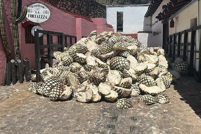 Full-Day Tour to La Fortaleza Distillery and Cantaritos - Key things to know before booking
