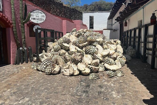 Full-Day Tour to La Fortaleza Distillery and Cantaritos - Choosing between Don Cayo and La Fortaleza