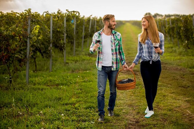 Full-Day Wine, Whiskey & Beer Tour w/ Lunch Pairing - Why this Niagara tour works well as a one-day plan